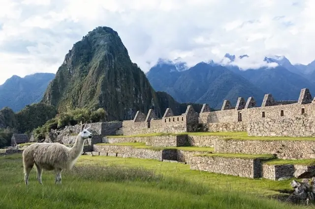 Machu Picchu